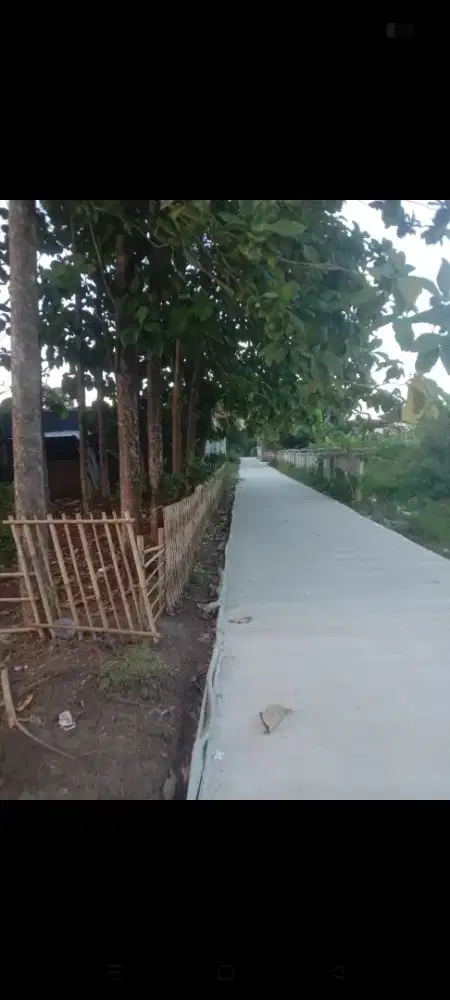 Dijual Tanah Pekarangan