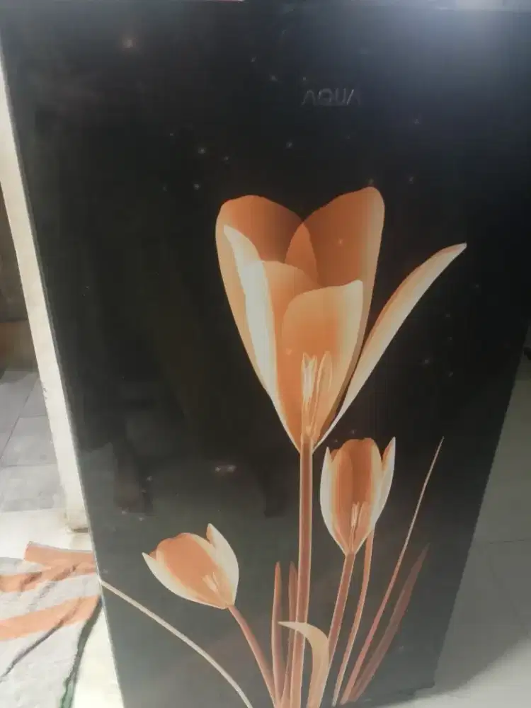 Kulkas bekas butuh cepat