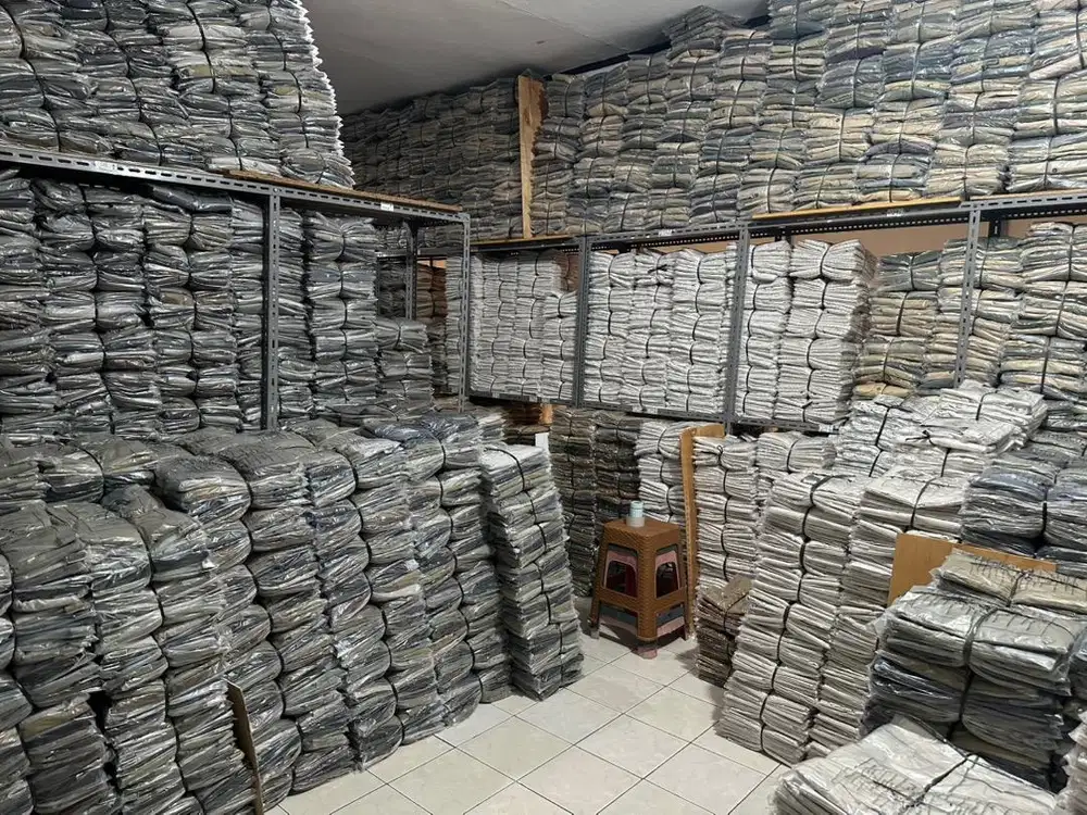 Admin host live di tik tok