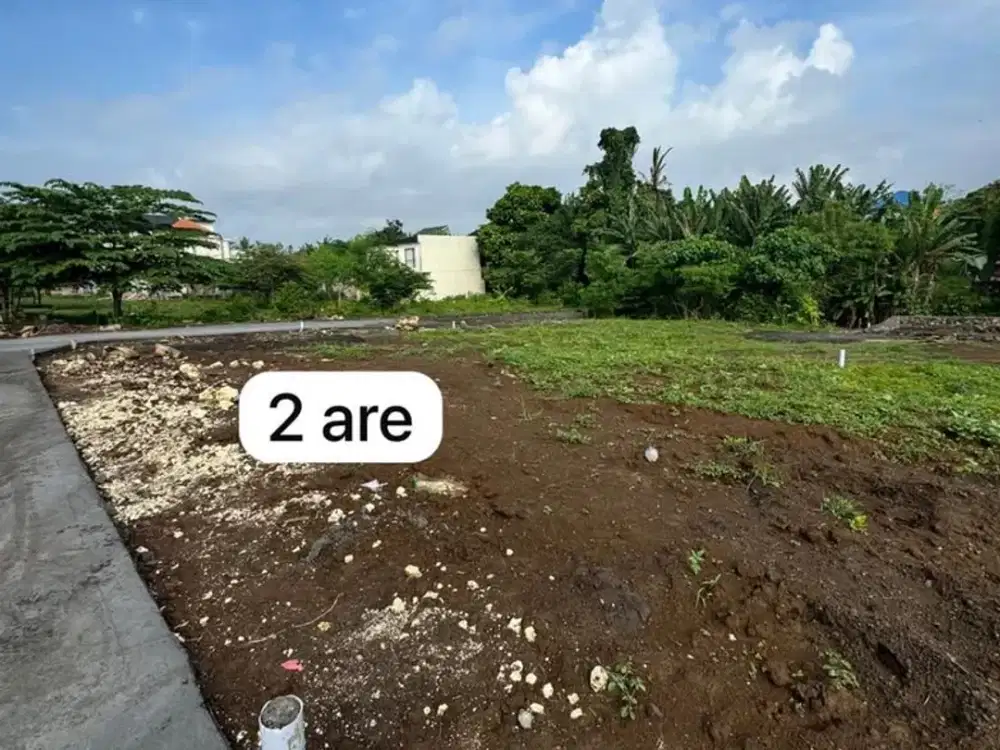 Jual Tanah Di Jalan Pantai Kedungu Pandak Bandung Tabanan Bali. Dekat Ke Tanah Lot, Pantai Kedungu, Canggu Bali, Dll.