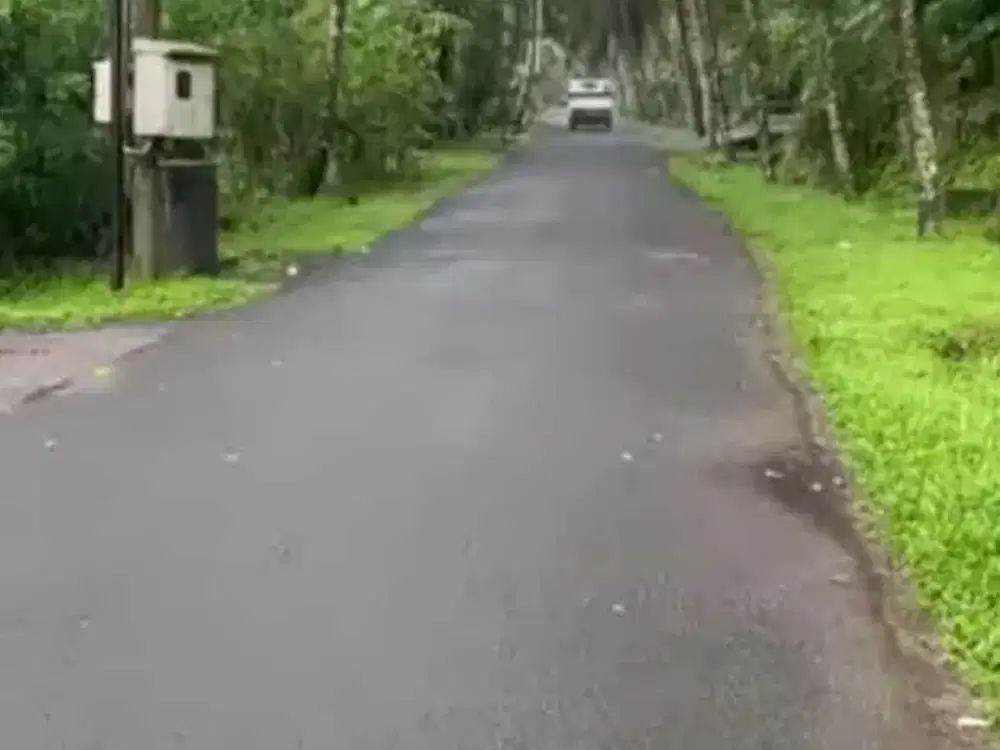 Jual Tanah Cukup Murah Di Jalan  Abiansemal Badung Bali. Sangeh, Taman Ayun, Ubud Bali.