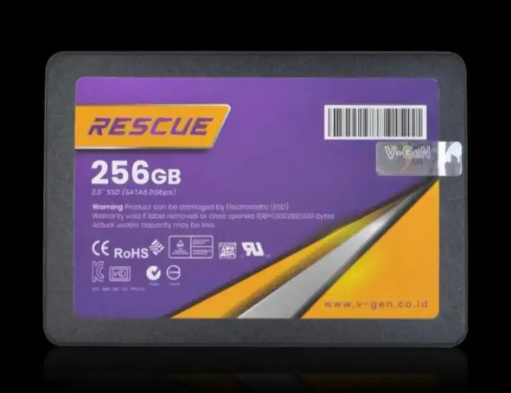 V-Gen SSD RESCUE 256GB