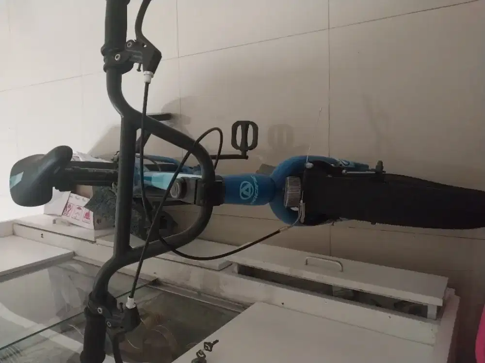 Sepeda united anak anak