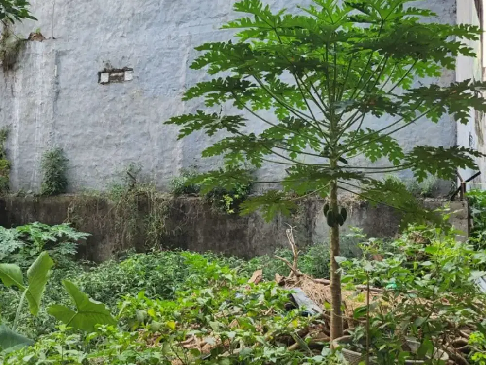 Dijual Murah: 1 Kavling Tanah di Kompleks DPR Meruya Selatan, Jakarta Barat