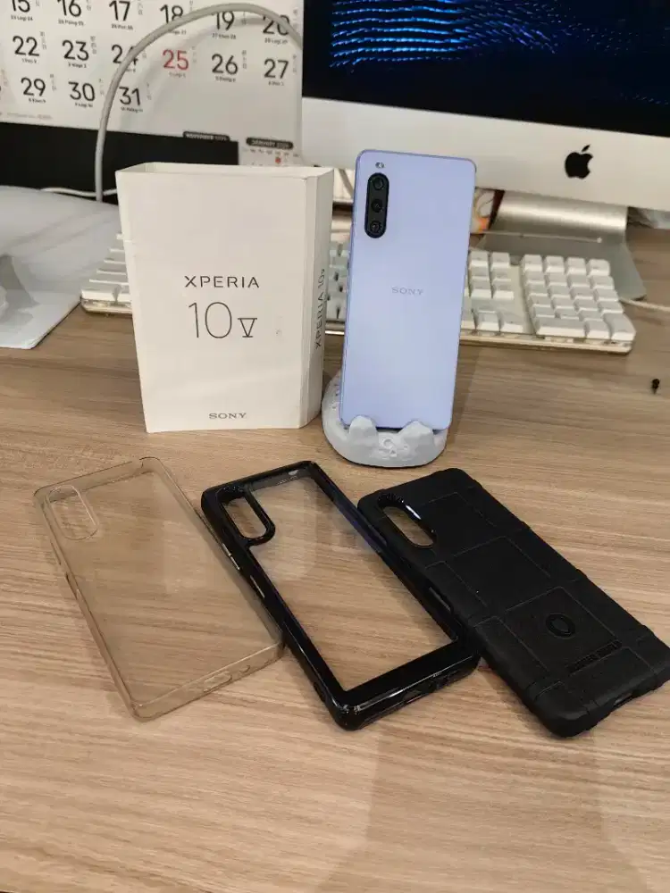 Sony Xperia 10 V Beacukai