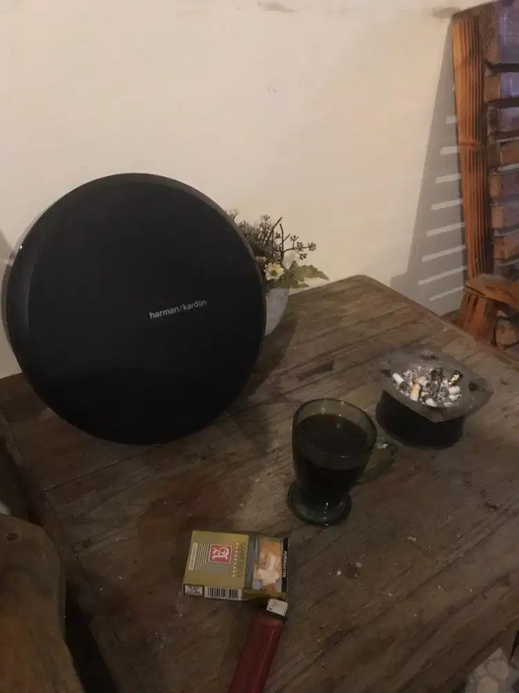 harman kardon onyx 1