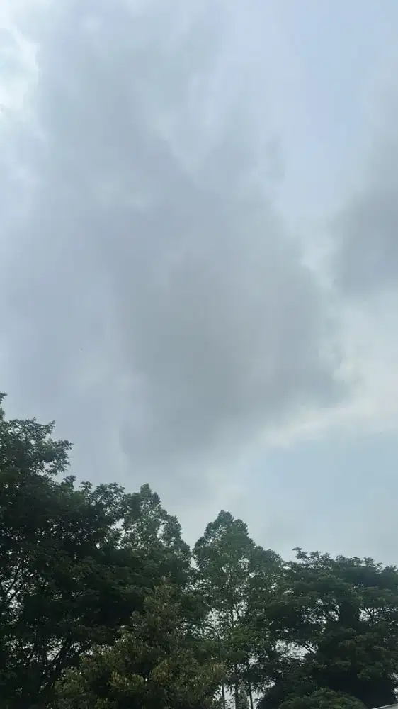 Jasa bersih2 rumah perjam