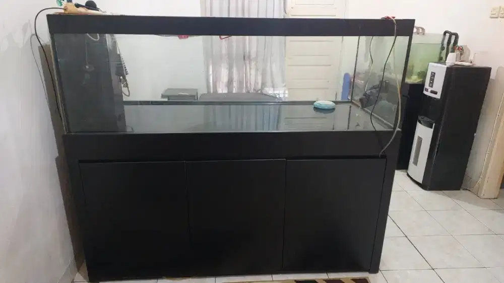 satu set aquarium + kabinet
aquarium