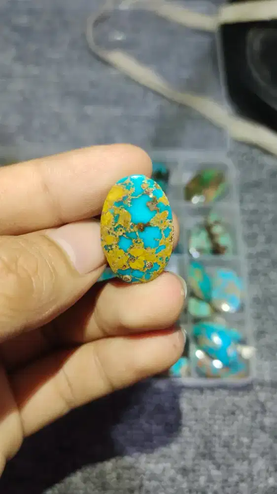 Batu Virus Persia Asli Iran