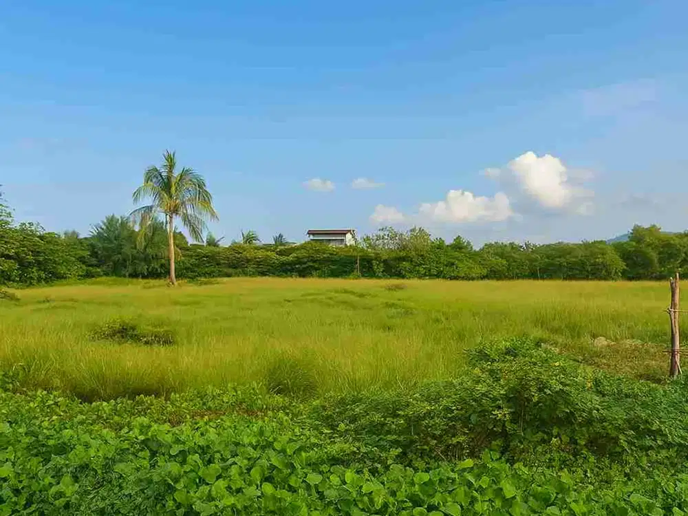 Dijual Cepat Tanah Luas 26. 629m2 Lokasi Premium Jl. Perintis Kemerdekaan SHM