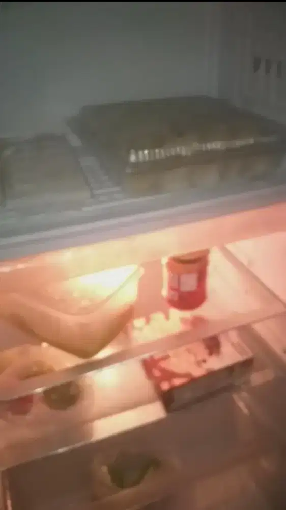 Kulkas 1 pntu br 2 th an lengkap free lalamove