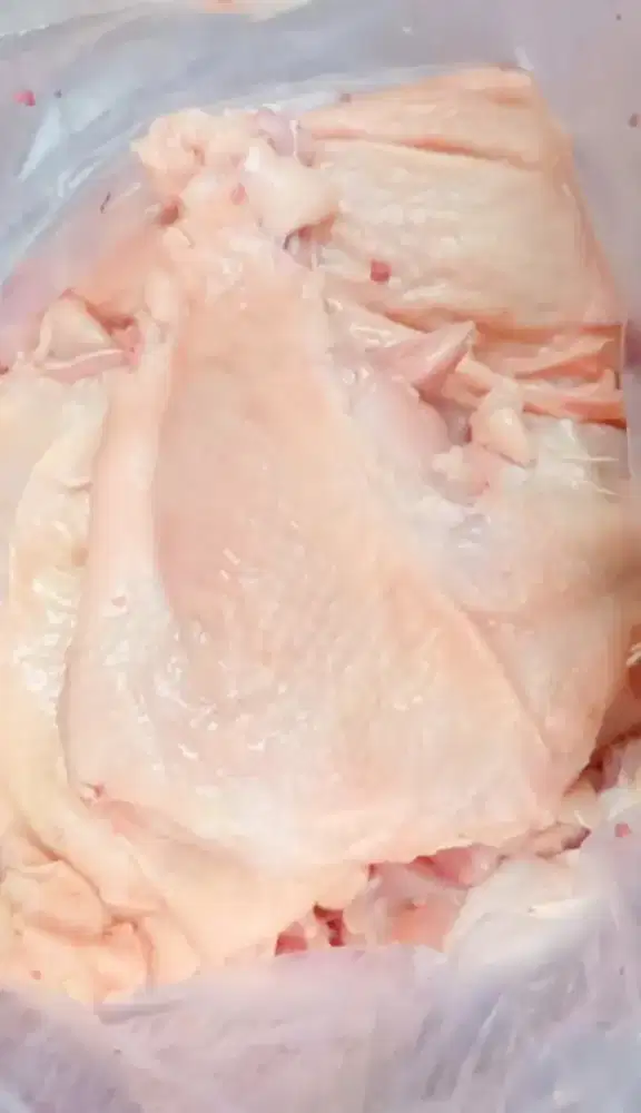 Ayam Fillet paha Broiler Fres Segar Murah Free Tulang