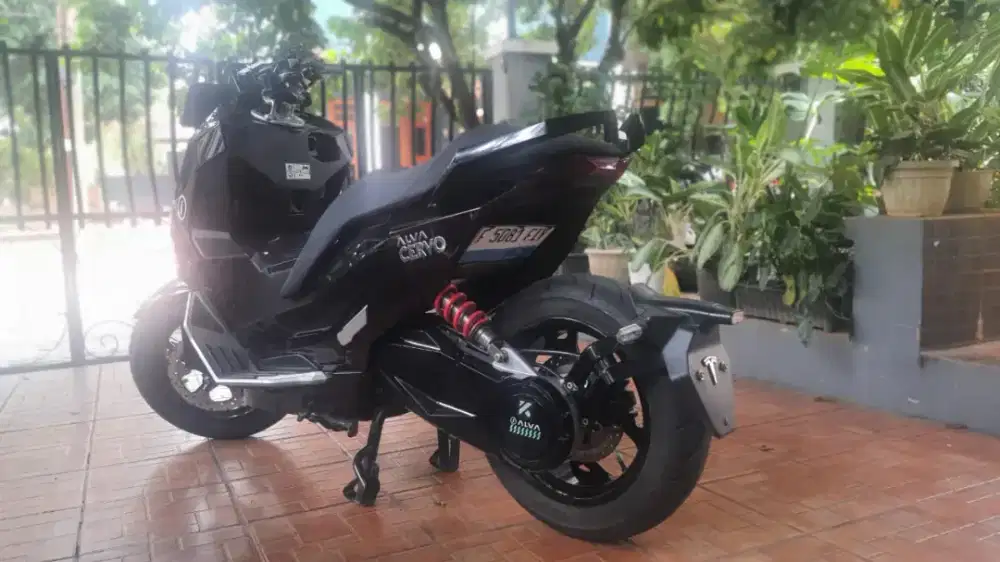 Jual Alva Cervo 2023