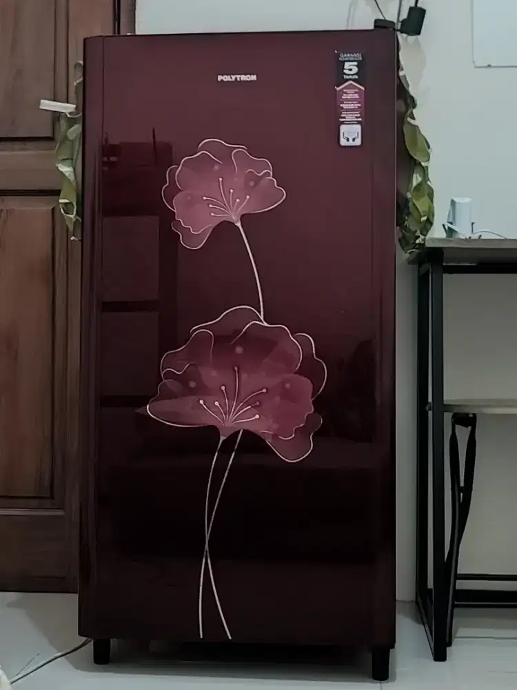 Kulkas 1 Pintu Polytron