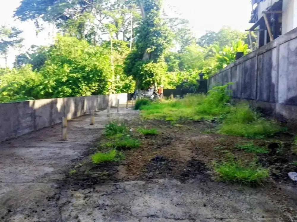 Tanah Premium 1,6 Are Zona Pink Disewakan, di Umalas Kuta Area