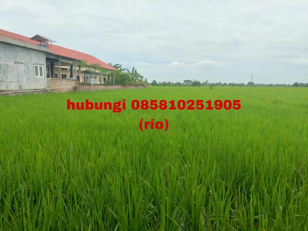 DIJUAL CEPAT TANAH DI PINGGIR JALAN PANTURA