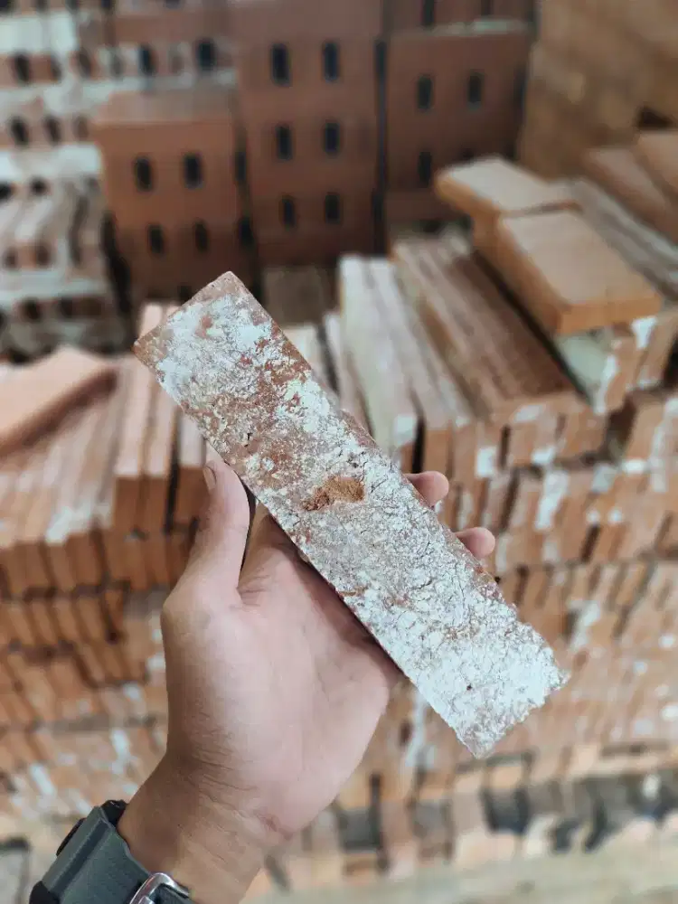 Bata Tempel Vintage¹²