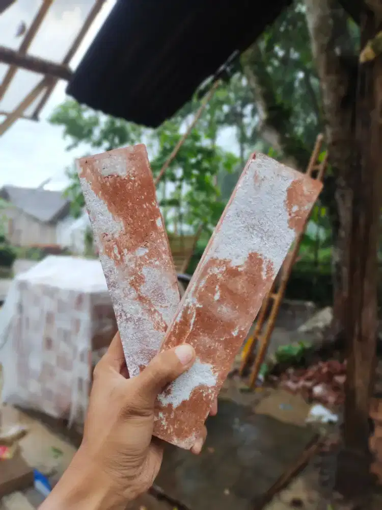 Bata Tempel Vintage¹⁴