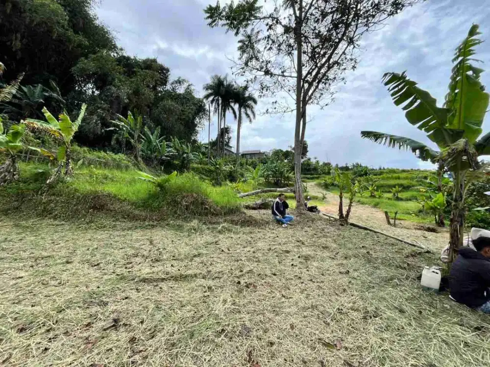 Tanah 500 Meter Di Puncak Bogor Dekat Wisata Safari