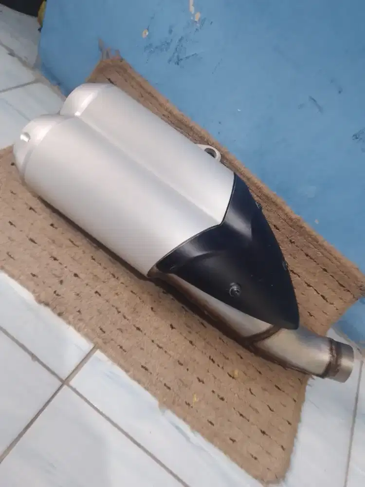 Knalpot moge Ducati monster 1100