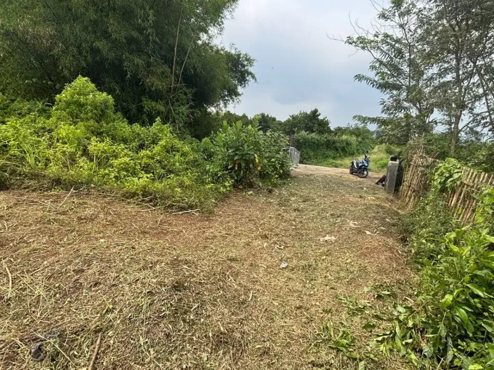 Hunian Nyaman Dekat Thursina Perempuan Dau Malang SHM Ready