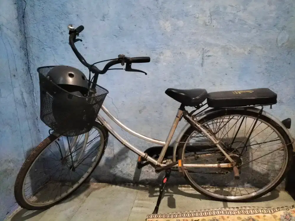 Sepeda Japanese City