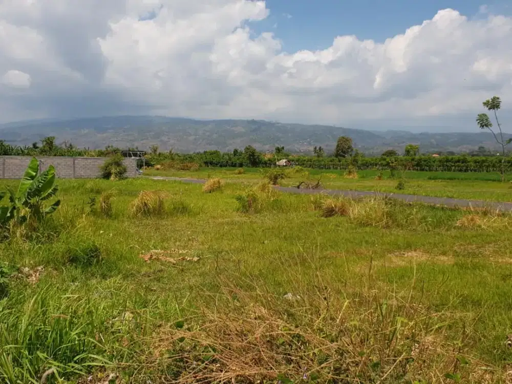 Dijual Kavling Tangguwisia Kec Seririt Buleleng Singaraja Bali