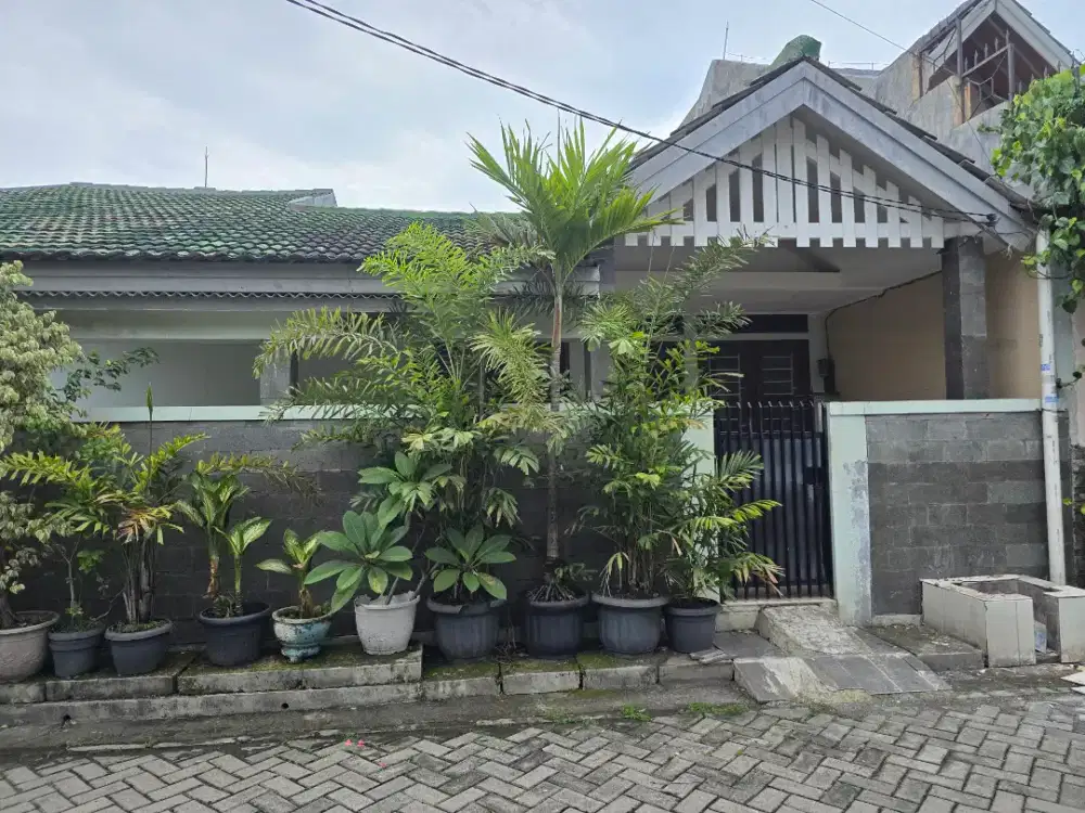 Disewakan tahunan kontrakan di taman asri blok g, 2km, 2kt dan dapur.