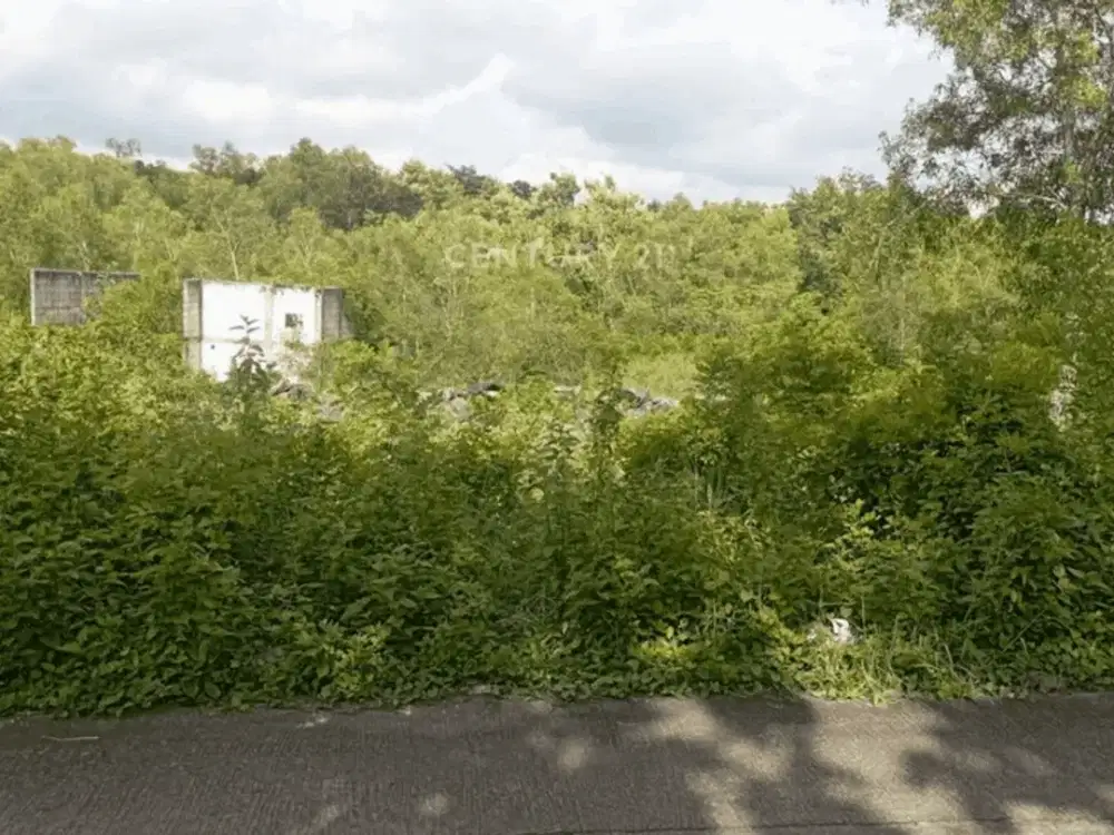 Tanah Luas 3853 Di Guwosari Bantul Cocok Untuk Dibangun Perumahan