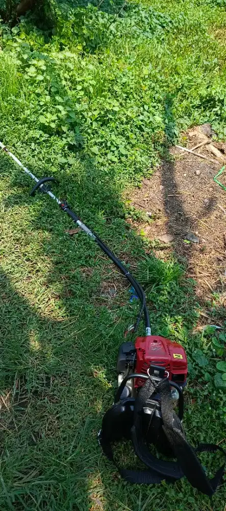 Potong rumput sidoarjo