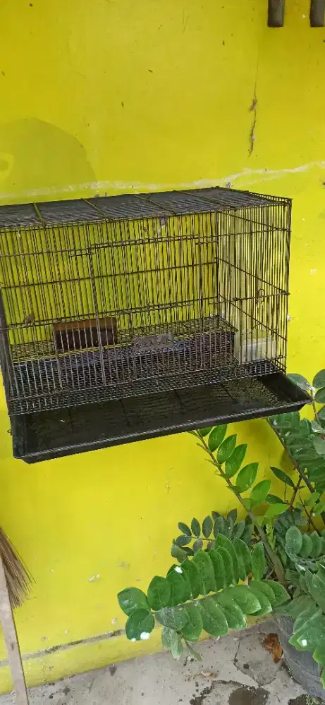 kandang kotak besi