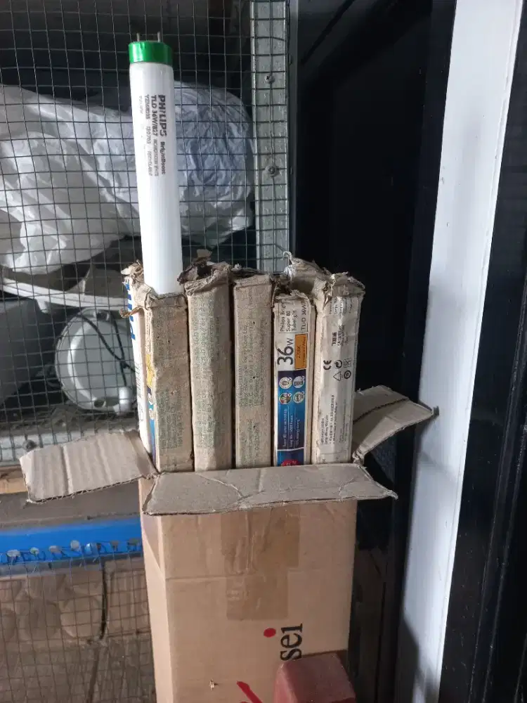 TL philips 32w brighbost super 80 warna kuning