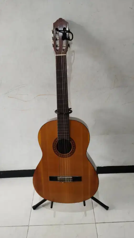 Gitar Akustik Yamaha C315