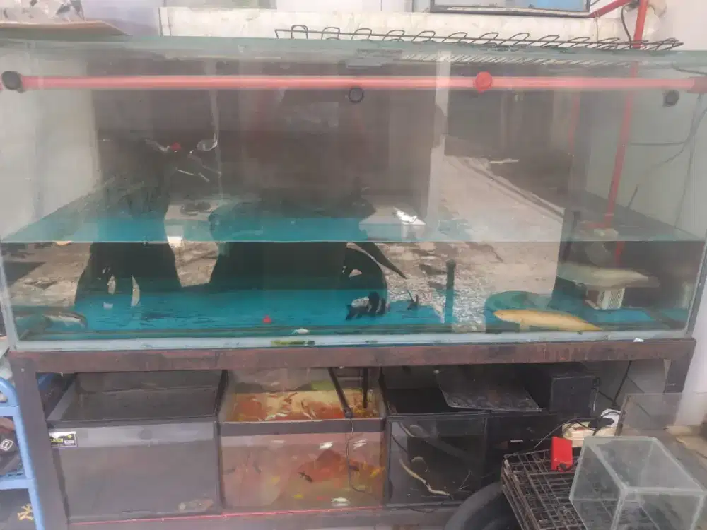 Aquarium ikan full set