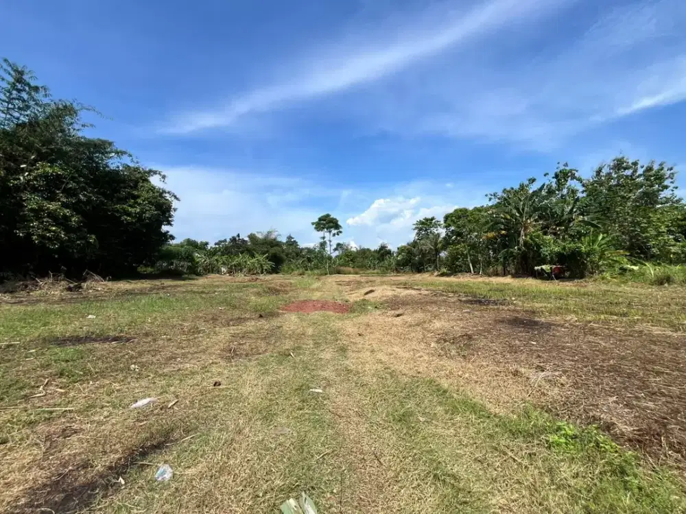 Tanah Murah Dekat Flyover Hiera BSD, Cocok Untuk Hunian