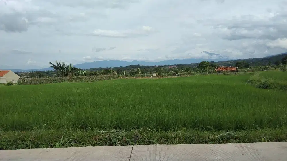 Mencari pekerjaan sopir freelance