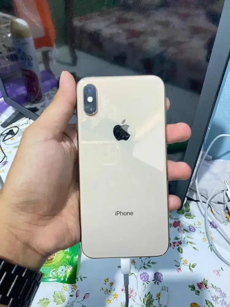 iPhone XS 256Gb Inter