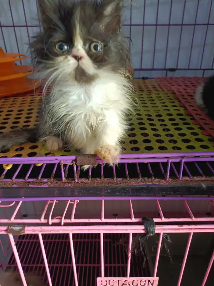 Betina black and white