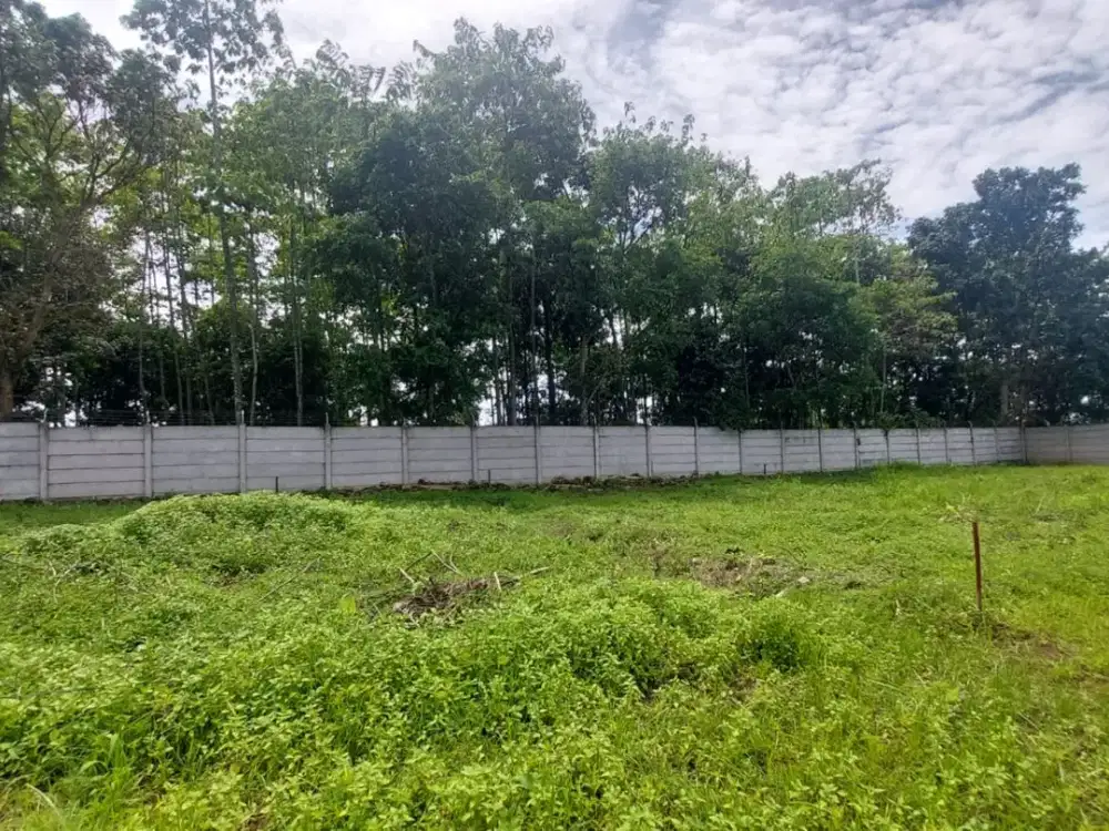 Tanah Kavling Cisauk Strategis Dekat HIERA BSD, Terima SHM Perunit