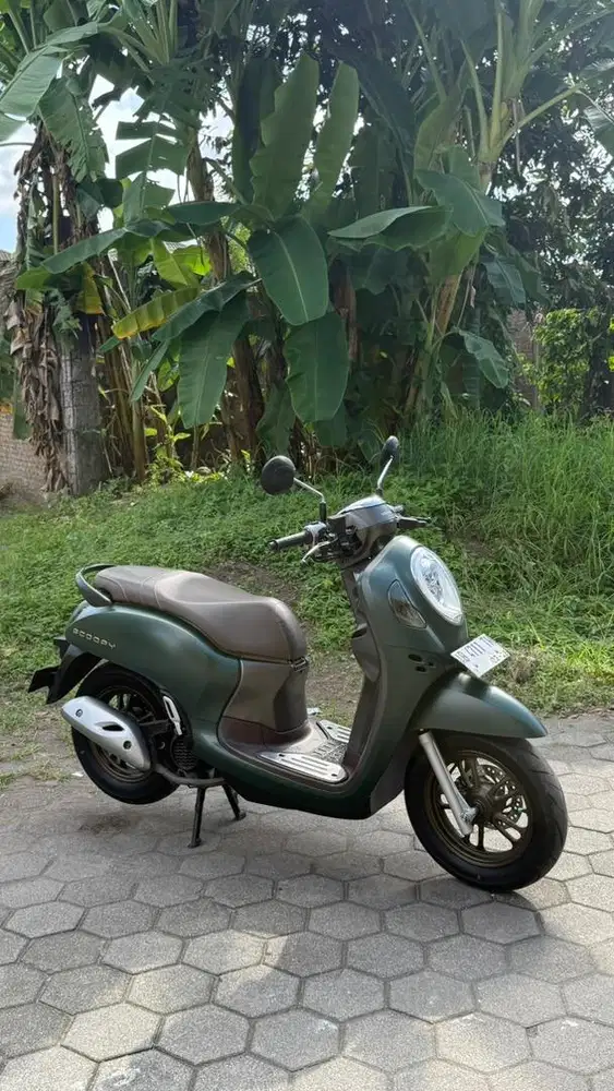 Scoopy prestige