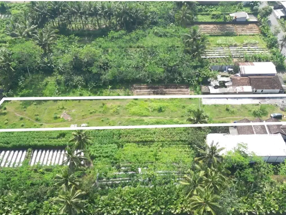 Tanah Strategis Dekat Polsek Tempel, Legalitas SHM