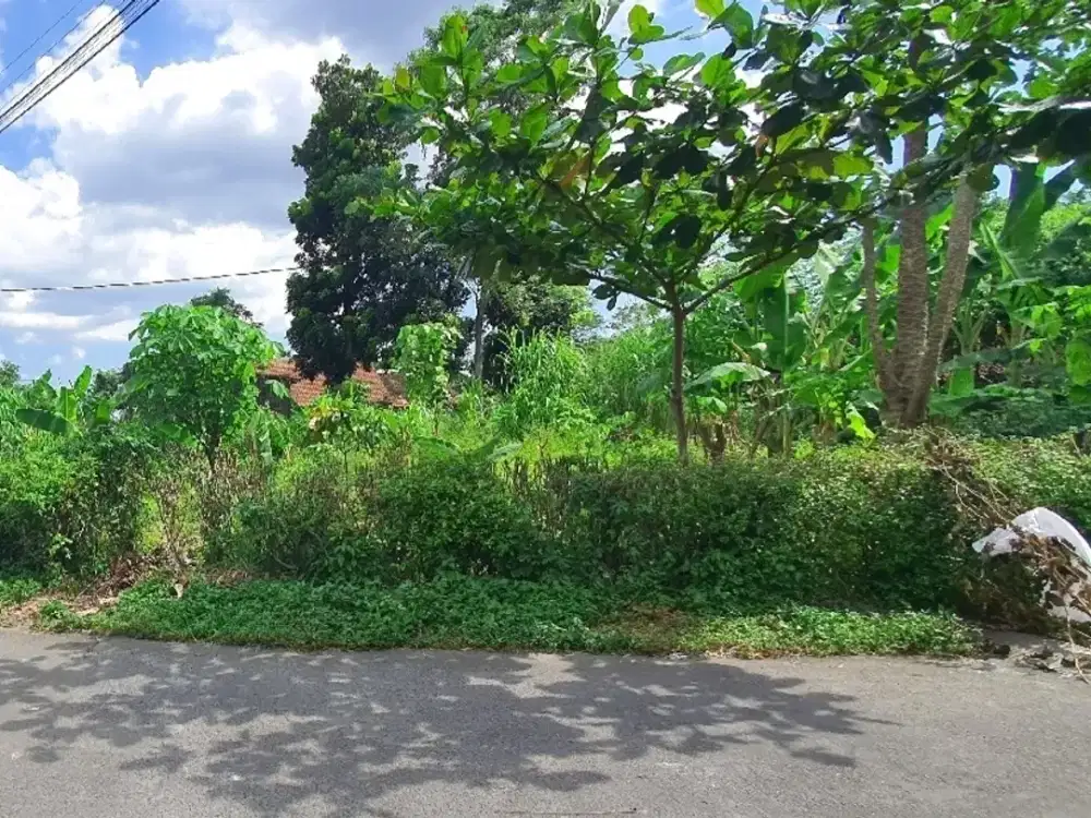 Tanah Strategis di Jl. Pamungkas Sleman Untuk Investasi 2 JT-an