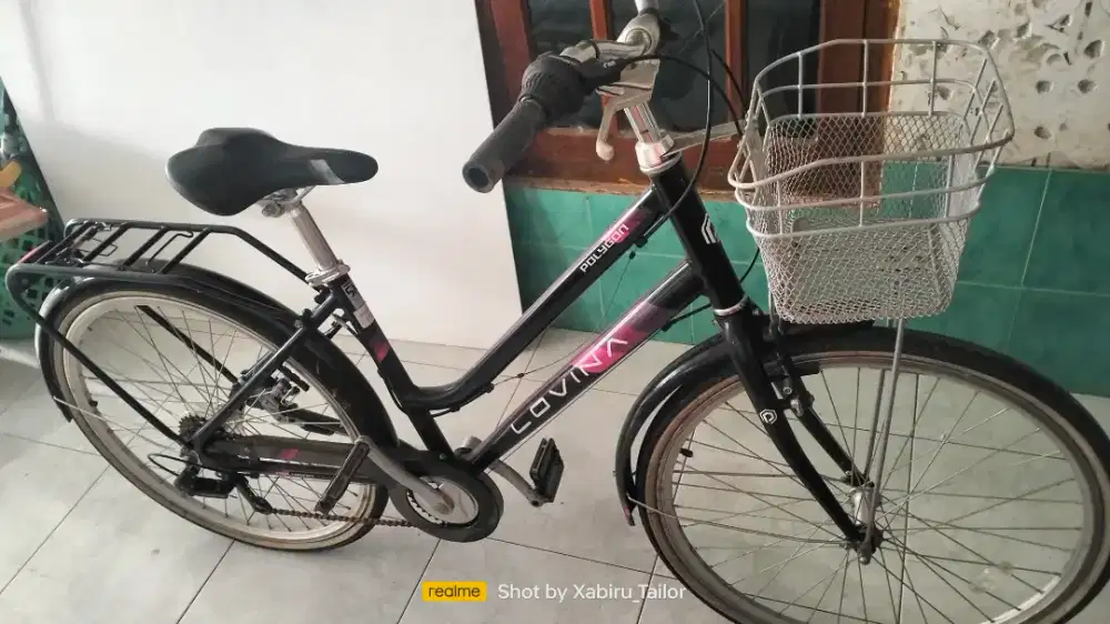 Sepeda Polygon Lovina unggu