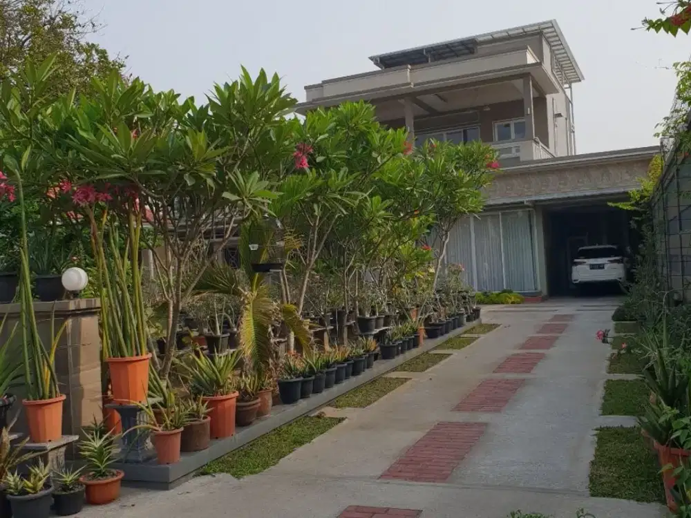 RUMAH MEWAH DI ATAS LAHAN LUAS | CIBUBUR – SHM
