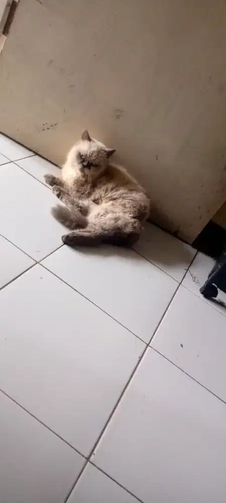 LA Krn sering ditinggal