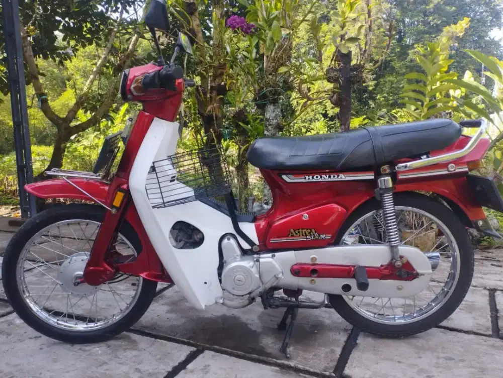 Astrea star warna merah