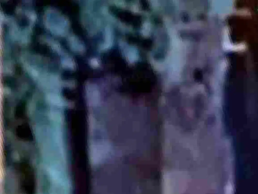 Tanah Kavling Darmo Permai