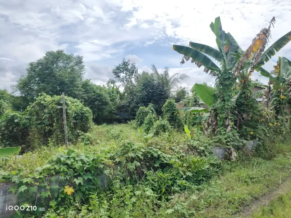 Dijual tanah milik pribadi