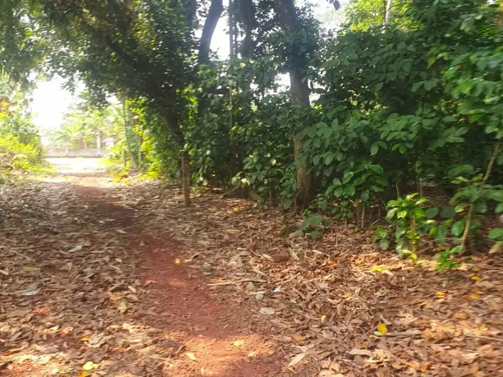 Dijual Murah Kavlling Cisauk-Hanya 1JTan dekat BSD