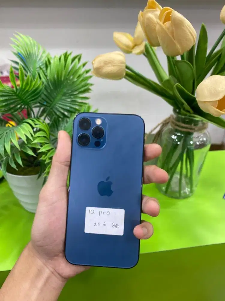 IPhone 12 pro 256 ibox